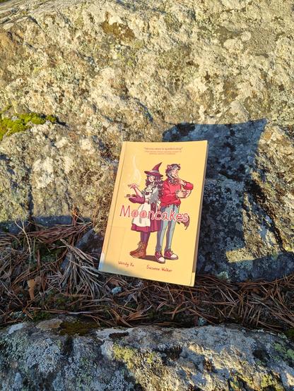 Kuvassa Mooncakes-kirja kuvattuna kalliolla.