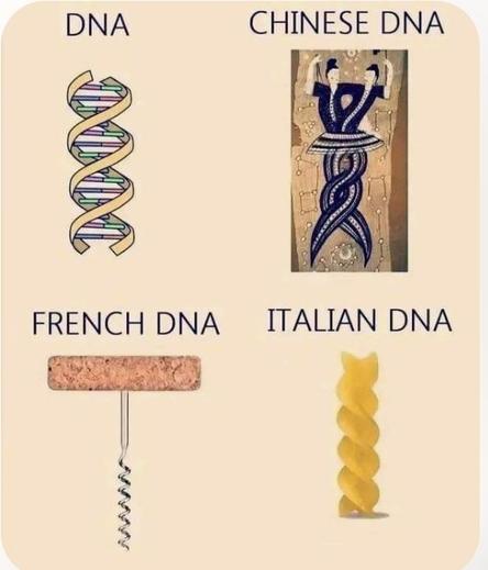 Meme with four images. 

The first, labeled "Human DNA," shows a standard graphic of double-helix DNA.

The second, labeled "Chinese DNA," shows Asian artwork of two characters entwined together. 

The third, labeled "French DNA," shows a manual corkscrew.

The fourth, labeled "Italian DNA," shows a spiral Rotini noodle.
