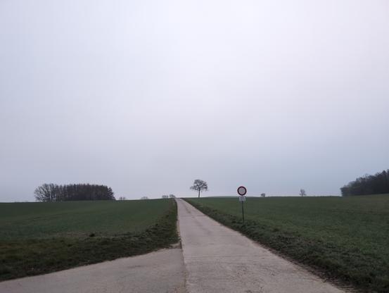 Das Bild zeigt eine ruhige, ländliche Straße, die sich durch eine weite, grüne Landschaft schlängelt. Die Straße ist asphaltiert und führt in die Ferne, wo sie von einer einzelnen, kahlen Baumstelle gekrönt wird. Auf der rechten Seite der Straße steht ein Verkehrsschild mit einem roten Kreis und einem weißen Hintergrund, das auf eine Verkehrsvorschrift hinweist. Der Himmel ist bedeckt und grau, was eine trübe Atmosphäre schafft. Links und rechts der Straße erstrecken sich weite Felder, die von vereinzelten Bäumen und Büschen gesäumt werden. Die Landschaft wirkt ruhig und unberührt, mit einer leichten Nebeldecke, die die Sicht auf die Ferne einschränkt.