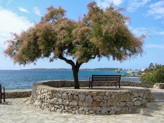 Das Bild zeigt eine friedliche Szene mit einem Baum, einer Bank und Meerblick.
Im Detail zeigt das Bild einen breit ausladenden Baum mit hellrosafarbenen Blüten und grünen Blättern, der in der Mitte einer niedrigen, runden Steinmauer steht. Auf der anderen Seite der Mauer befindet sich eine hölzerne Parkbank. Im Hintergrund ist ein türkisfarbenes Meer zu sehen, dessen Wellen sanft an die Küste schlagen. Am Horizont sind Küstenlinien und in der Ferne Gebäude erkennbar, was auf eine Küstenstadt oder einen Ferienort hinweist. Ein kleines, hellgrünes Boot ist im Meer zu sehen. Der Himmel ist sonnig und hellblau mit ein paar lockeren Wolken. Die gesamte Szene strahlt Ruhe, Frieden und die Schönheit einer mediterranen Landschaft aus. Die Farben sind warm und natürlich; der blaue Himmel und das Meer kontrastieren mit den grün-braunen Tönen des Baumes und der Steinmauer. Ein Teil einer zweiten Bank ist links im Bild zu sehen. Rechts im Bild ragen ein paar grüne Büsche und Palmen empor. Die Atmosphäre ist entspannt und einladend, fast meditativ.
(Bildbeschreibung zum Test mit KI generiert)