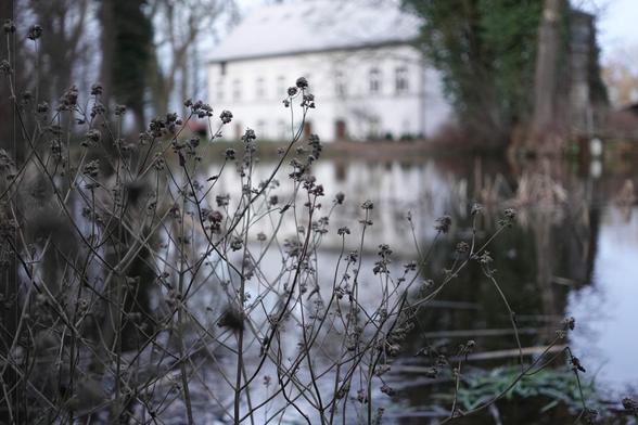 The image shows dried plants in the foreground with a blurred background of a large building, which appears to be situated near a body of water. The building looks like it could be a house or a historical structure. The overall atmosphere is calm, with natural elements like trees and water surrounding the building.