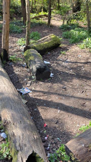 A clearing in a woodland with big logs for sitting on, with litter scattered across the ground.