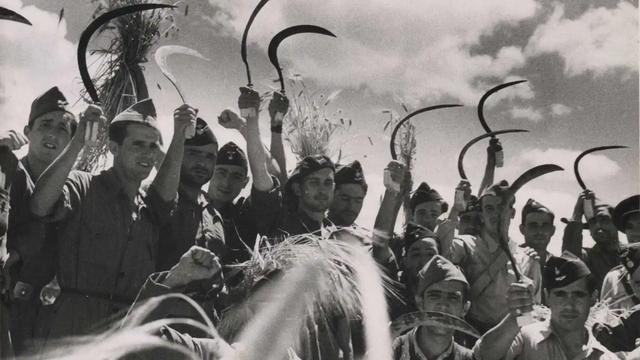 Campesinos españoles