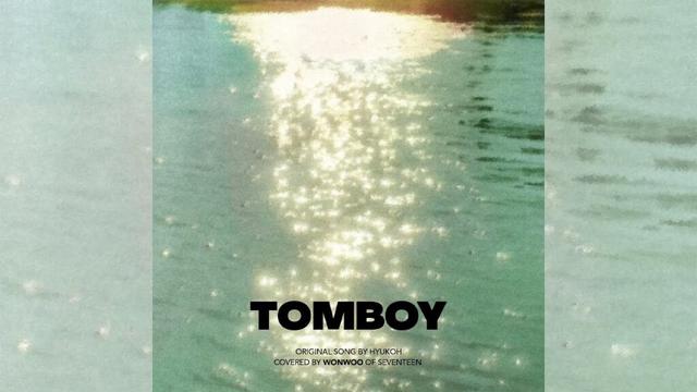 [COVER] 원우 - TOMBOY (원곡 : 혁오)