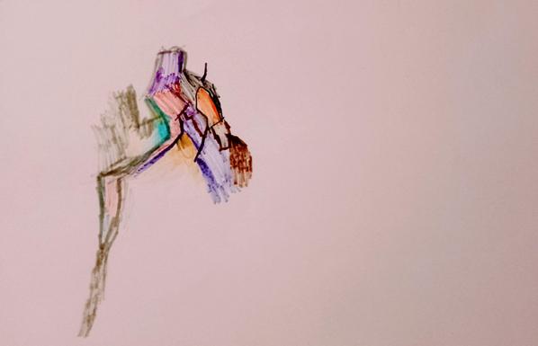 Drawing of a bird by a little boy.