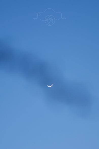 Moon sliver behind tree branch.