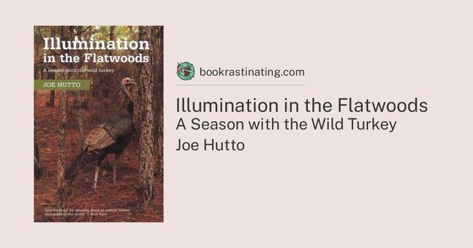 Joe Hutto: Illumination in the Flatwoods (Paperback, 2006, The Lyons Press)