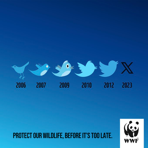 L'immagine presenta una sequenza di icone di uccelli che rappresentano il logo di Twitter, con date accanto a ciascuna: 2006, 2007, 2009, 2010, 2012 e 2023. Ogni anno corrisponde a un design diverso del logo Twitter, che evolge dallo stile più semplice e stilizzato a quello più complesso e definitivo. In basso a destra, c'è il logo del WWF con un panda, e il testo "PROTECT OUR WILDLIFE, BEFORE IT'S TOO LATE." sottolinea l'importanza della conservazione della fauna selvatica. L'immagine suggerisce un collegamento tra il cambiamento del logo di Twitter e l'evoluzione della società, con un messaggio ambientalista.