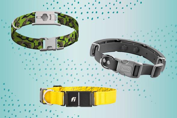 Best Smart Dog Collars