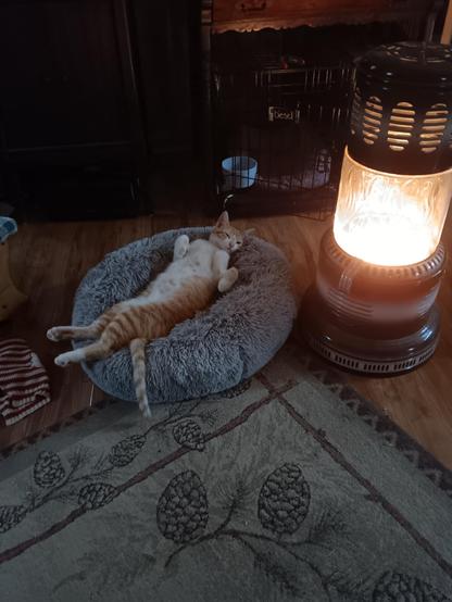 One of our cats resting by the Perfection Firelight .
The Perfection Firelight is a kerosene / parafine burning heater made by Perfection Company. The Firelight models have fresnel glass chimneys that provide a lot of light.