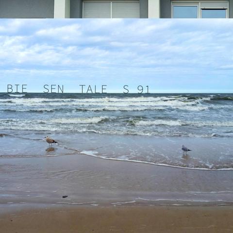 Baltic sea view, waves landing on the beach, with two seaguls left and right, sitting there unimpressed.