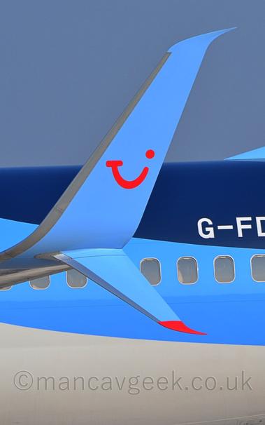 Close-up of the up-turned (and down-turned) wingtip of a blue and white jet airliner parked facing to the left.
The plane's body is dark blue at the top, pale blue in the middle, and white at the bottom.
Part of the registration, "G-FD" is visible on the right of the frame, in white.
The split wingtip is pale blue, with a chrome leading edge.
The top bit has a red logo that is somewhere between the letters "T", "U", and "I" all mixed together, and a winking smiley face.
The lower section has a red tip at the bottom.
Grey-blue sky fills the background over the top of the plane.