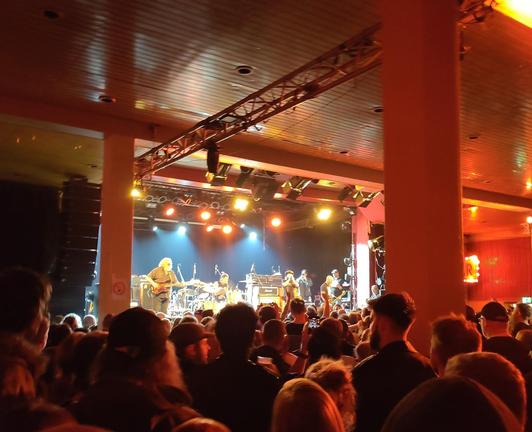 Band on stage (Circle Jerks) in the background and hundreds of people in the foreground