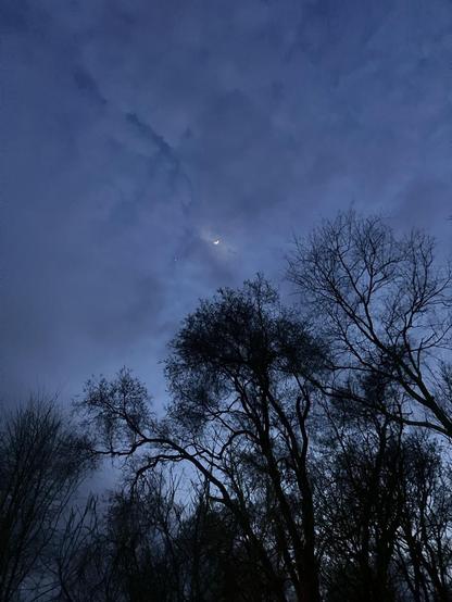 The black silhouettes of trees against a lavender-blue sky. A crescent moon and single star are visible.