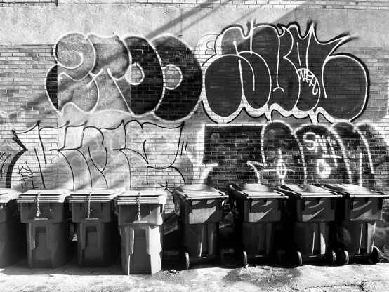 In a back alley, a string of garbage bins are aligned on a wall covered with tags, in the city of Montreal.