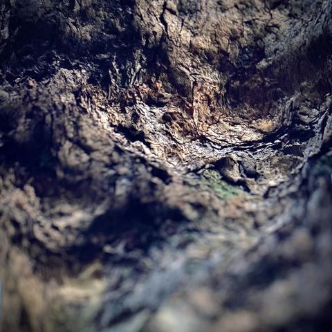 Crevices and protruding rock lead down to a lower semi-spherical pit (or the wooden bark of a tree, depending on your perspective).