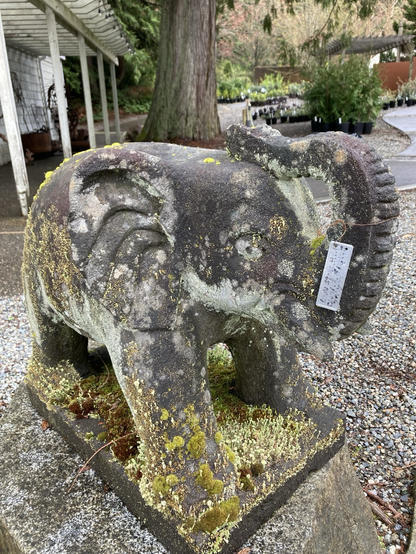 Old cement statue of an elephant covered in moss and lichen.