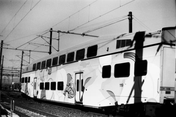 a train car painted with a design of mushrooms and garlic