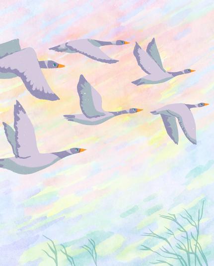 Vol d'oies sauvages sur un ciel pastel