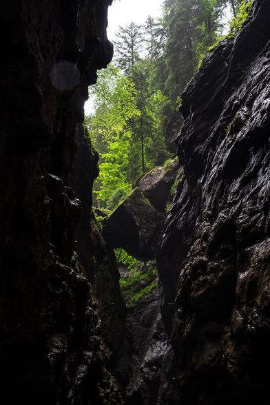 View from the bottom of the narrow Breitachklamm gorge in southern Germany, showing a large boulder wedged between the dark rock walls with lush green forest and filtered daylight above.