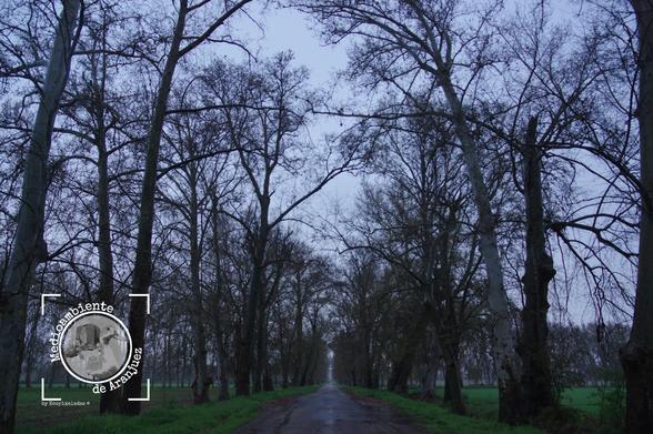 imagen de los otros históricos de Aranjuez bajo la lluvia