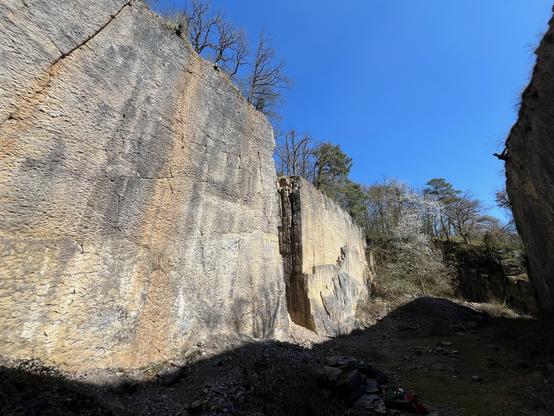Two vertical rock walls, about 50m apart. One bathed in sunlight, the other in the shadow. Trees are growing on top of the walls and a nice blooming tree can be seen at the end of the hole bounded by the walls.