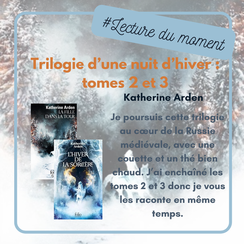 Visuel réalisé à partir de la couverture du livre «La fille dans la tour», tome 2 de la Trilogie d'une nuit d'hiver. On y voit le Titre du livre, les couvertures des tomes 2 et 3, le nom de l'autrice et le texte du pouet.