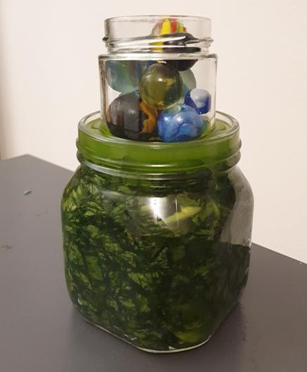 A jar filled with tightly packed leaves and a good amount of brine on top
Un bocal rempli de feuilles bien tassées avec beaucoup de jus au dessus