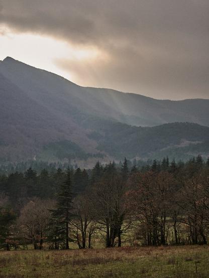 Saou
Drôme
France