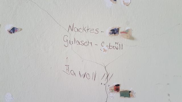 Wand mit Rissen und abgeblätterter Farbe, darauf steht mit Kugelschreiber geschrieben "Nacktes Gulasch-Gebrüll Jawoll"