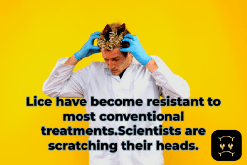 Lice analysis