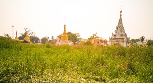 Photo shows several religious constructions on a line, in different styles of stupa and decorated towers. Some are cement grey, some white and yellow and a couple are more gold. In front is a field of green growing harvest. In the background there are some smaller, lower buildings of the type typical for houses and homes in village.
