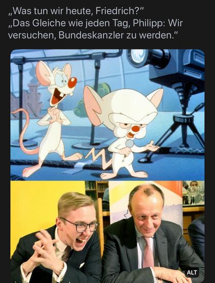 Text „Was tun wir heute, Friedrich?"
„Das Gleiche wie jeden Tag, Philipp: Wir
versuchen, Bundeskanzler zu werden."
Darunter ein Bild der Cartoon-Serie Pinky & Brain, ganz unten ein Photo von Phillip Amthor & Fritze Merz die in Haltung & Ausdruck dem Cartoonbild sehr ähnlich sehen