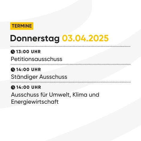 Zu sehen ist eine Terminübersicht für die heutigen Ausschusssitzungen. Dazu zählen der Petitionsausschuss um 13:00 Uhr sowie der Ständige Ausschuss und der  Ausschuss für Umwelt, Klima & Energiewirtschaft ab 14:00 Uhr.