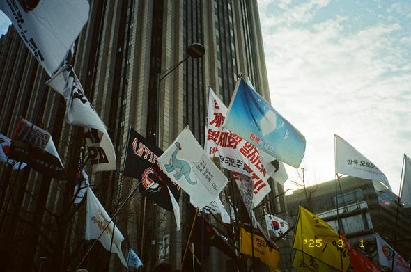 정부서울청사 건물 아래 “너도 독재 당하지 않게 조심해”, “안티파시스트”, “한국 모르모트 연합”, “정의당” 등 여러 깃발이 휘날리고 있다.