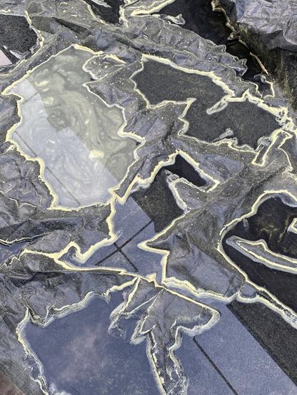 The sky is reflected in pools of water on a dark brown tarp. The pools are full of green pine pollen giving the image a map like feel