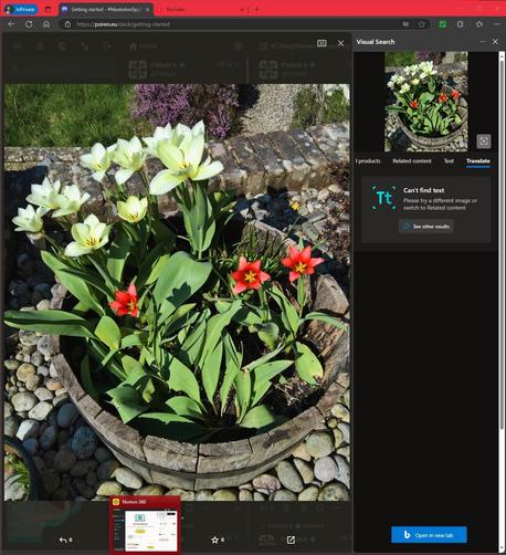 #VisualSearch is #StillQuiteCool... 100% #Accurate... 

And, #Over 50% #Unhelpful...