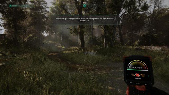 Screenshot aus dem Spiel Chernobylite: Der Protagonist steht mit einem Scanner, welcher 0.9 Millisievert anzeigt, in einem bewaldeten Gebiet. Es sind Bäume, Überreste einer Jagdhütte, Mauerreste, ein Felsen und einige Trampelpfade durch die Gräser sichtbar.