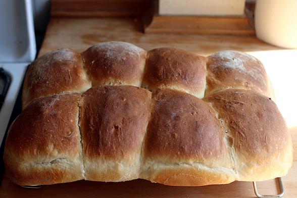 Eight bread rolls baked on a sheet tray.  Constrained, the rolls have risen and merged so show more as eight domes in a contiguous mass rather than individual rolls