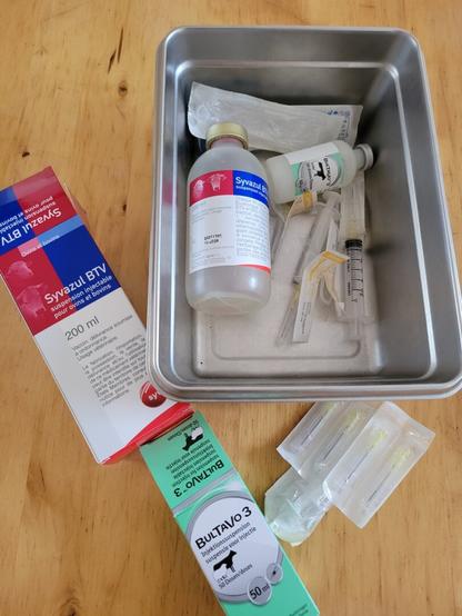 The picture shows needles and 2 bottles of sheep vaccine against blue tongue