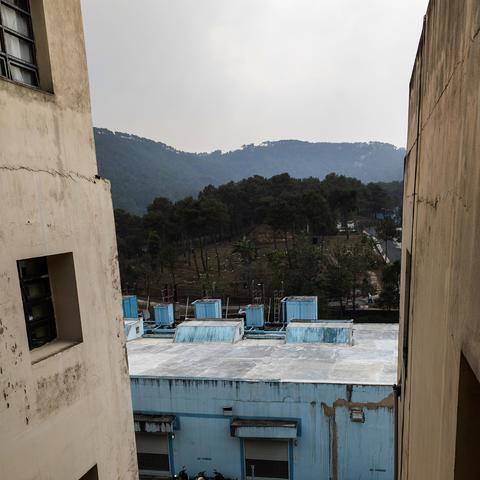 a photo of two yellow painted buildings surrounding on either side, a blue painted building in the middle. Above the blue painted building there are long dark green leaved trees and a tree covered mountain above the trees. The sky is an overcast grey-blue in colour.