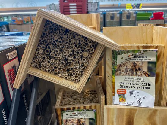 Small box made of laminated wood and crammed full of plant stems that have been roughly cut to reveal hollow insides.