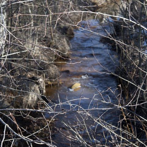 Springtime view of a ditch with flowing water in it. The sparse tree branches in front of the view are in focus while the ditch itself is mildly soft.