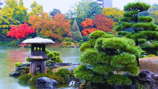 New And Classic Attractions To Explore In 2025