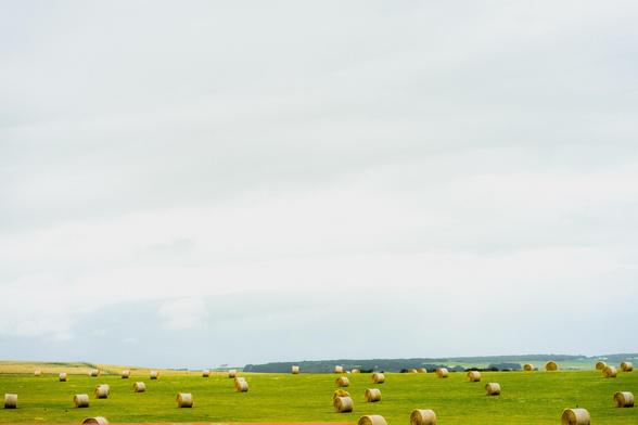The image shows a landscape with a field scattered with large round hay bales. The sky is mostly cloudy, and the horizon includes distant trees or possibly a forested area.