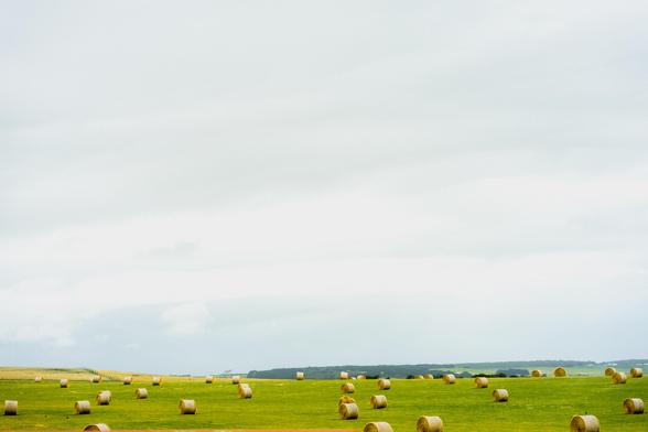 The image shows a landscape with a field scattered with large round hay bales. The sky is mostly cloudy, and the horizon includes distant trees or possibly a forested area.