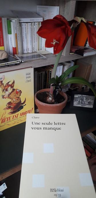 Couverture de "Une seule lettre vous manque" par Claro. 
Collection Perec 53 aux éditions L'Oeil ébloui.