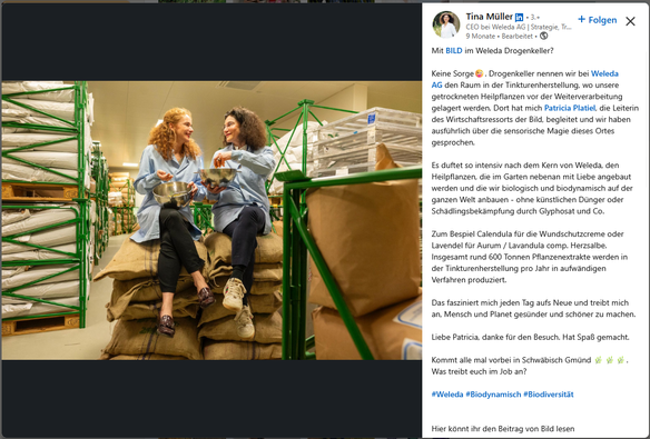 Foto: Tina Müller sitzt im Weleda-Lager ohne Haarnetz und mit Straßenschuhen auf Säcken mit Rohware. Sie wirtschaftet mit den Händen in einem Behälter mit Körnern herum.

Ihr Text dazu (Ein Interview mit Springers BILD - "Zeitung") phantasiert von Glyphosat und wirbt für "Aurum Herzsalbe", ein Pseudomedizin-Produkt nach hellseherischen Vorgaben von Rudolf Steiner.
