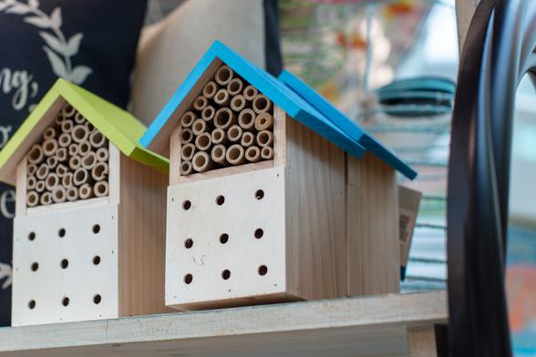 Blue-roofed insect hotel stuffed with bamboo sections.