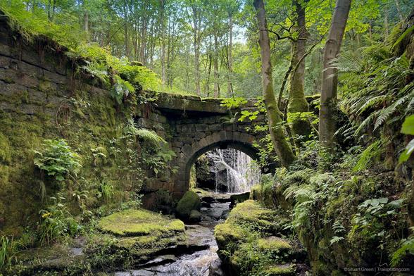 The image shows an old stone bridge in a lush, green forest. The bridge is covered in moss and ferns, blending seamlessly with the surrounding vegetation. A small stream flows underneath the bridge, and a waterfall can be seen in the background.